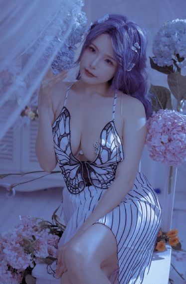 金装的维尔樱花动画免费