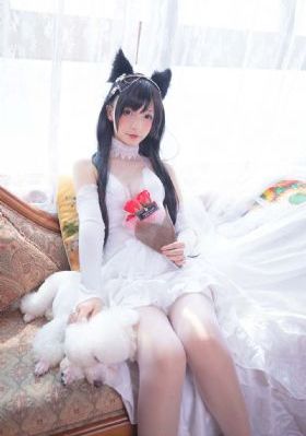 overflow樱花动漫免费观看